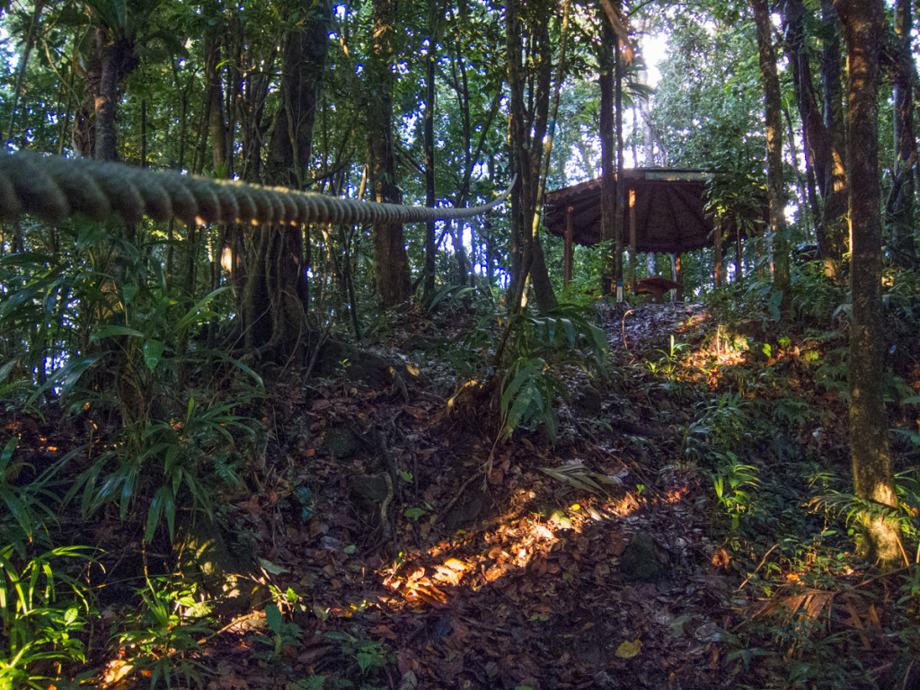 Ropes on Segment 4 of the Waitukubuli National Trail