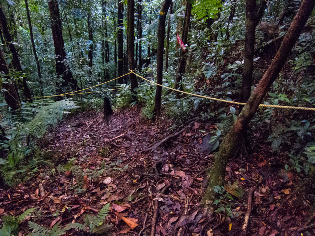 Ropes on Segment 4 of the Waitukubuli National Trail