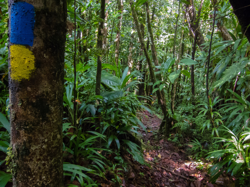 Segment 5, Waitukubuli National Trail