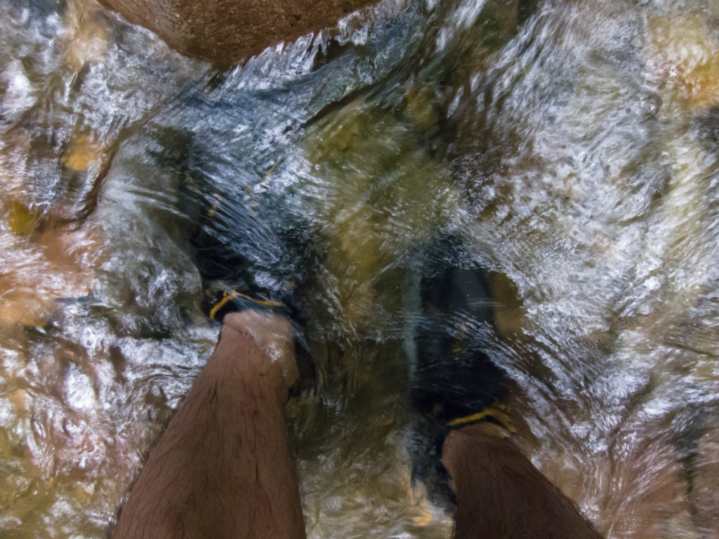 Stream crossing, Waitukubuli National Trail