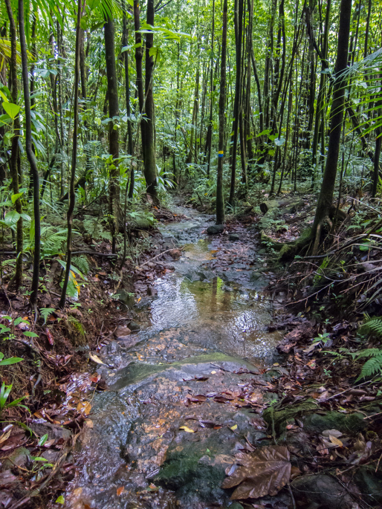 Segment 5, Waitukubuli National Trail