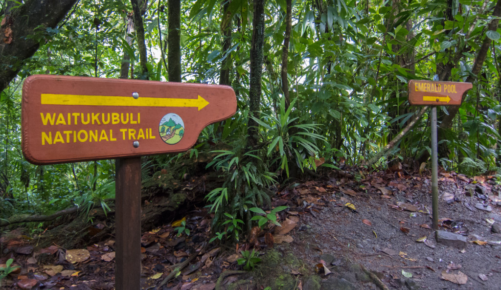 Trail to Emerald Pool, Dominica