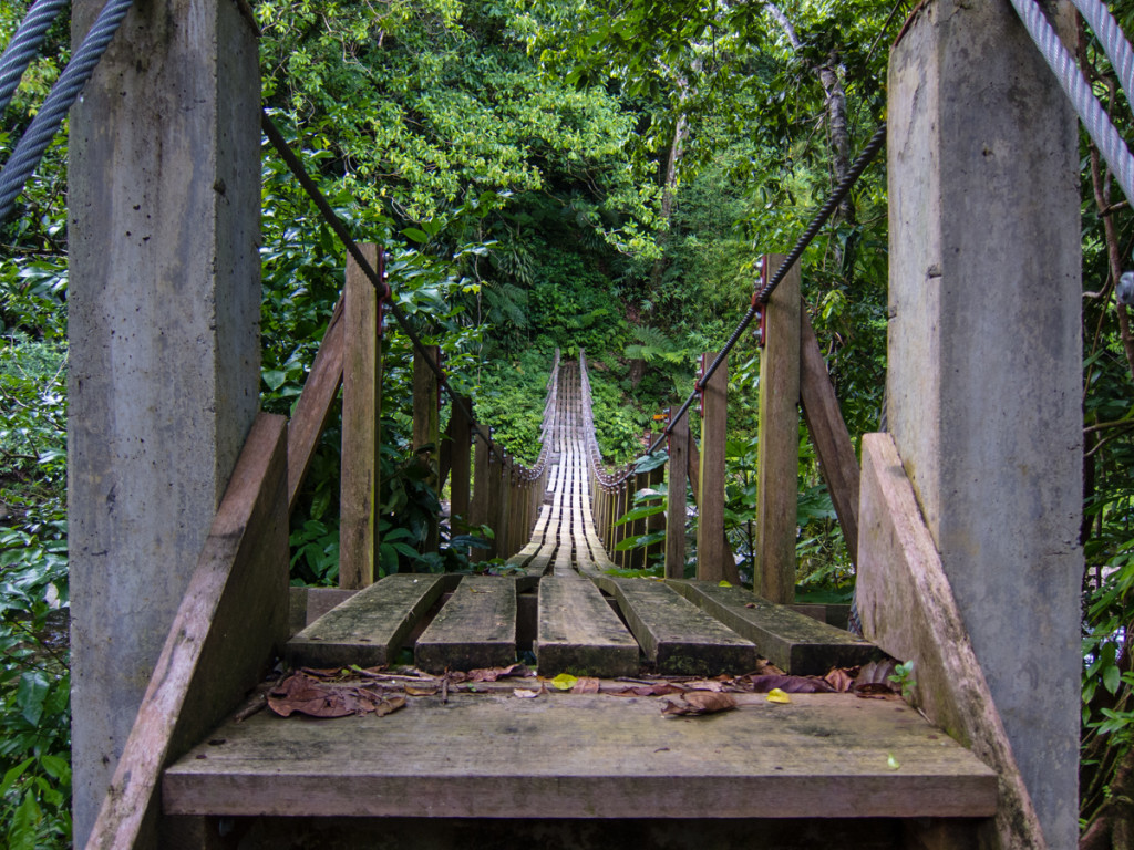 Suspension bridge, Segment 5, Waitukubuli National Trail