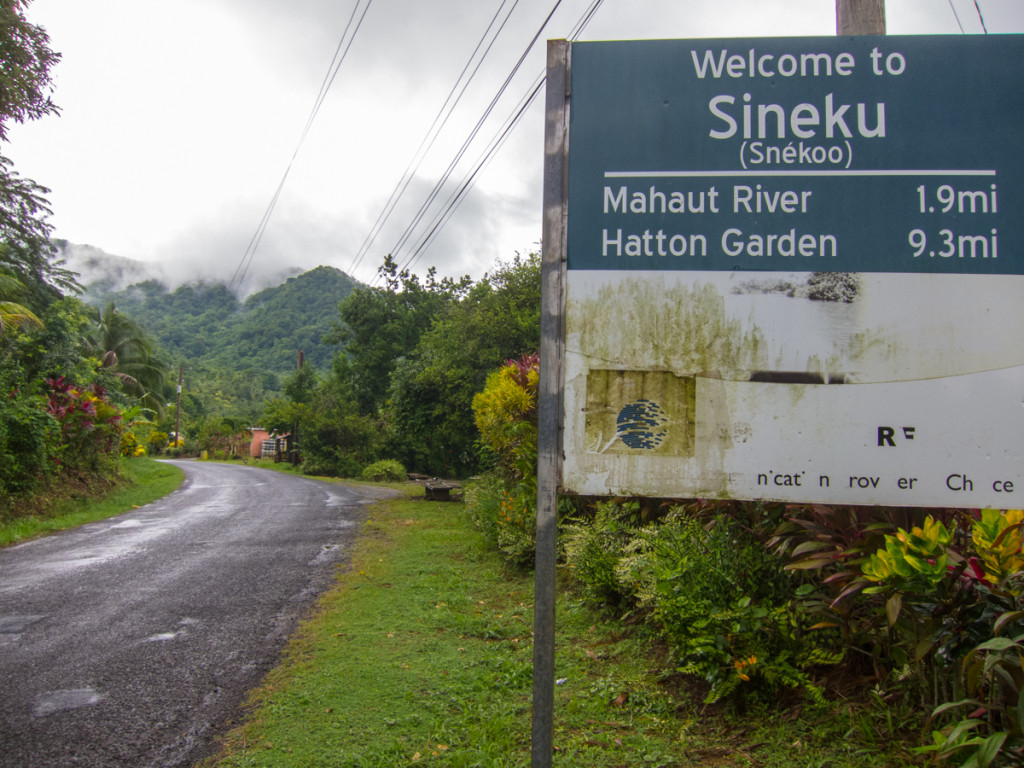 Sineku, Dominica