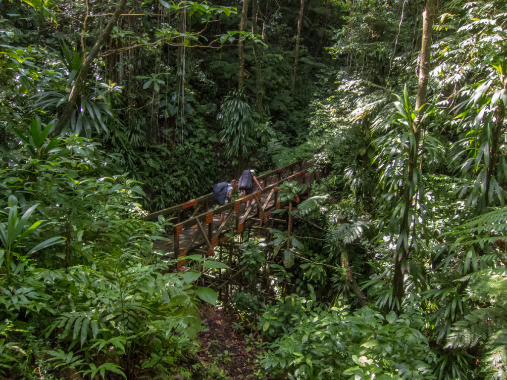 Bridge on the Waitukubuli National Trail