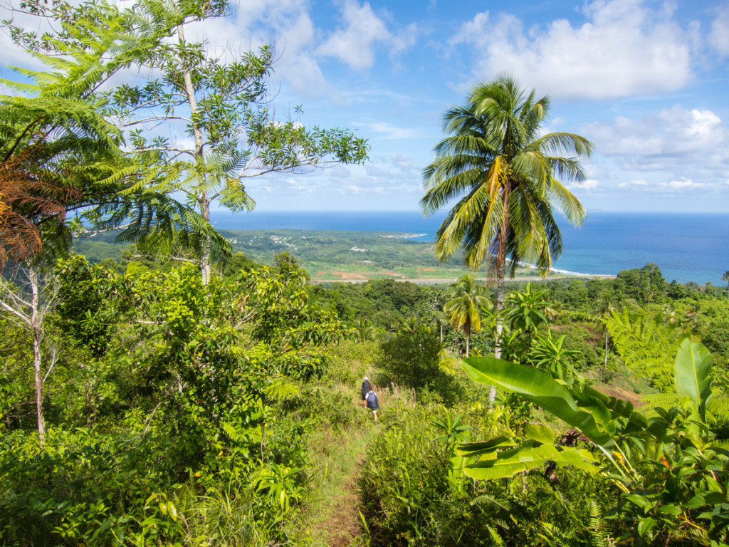 Segment 7 of the Waitukubuli National Trail