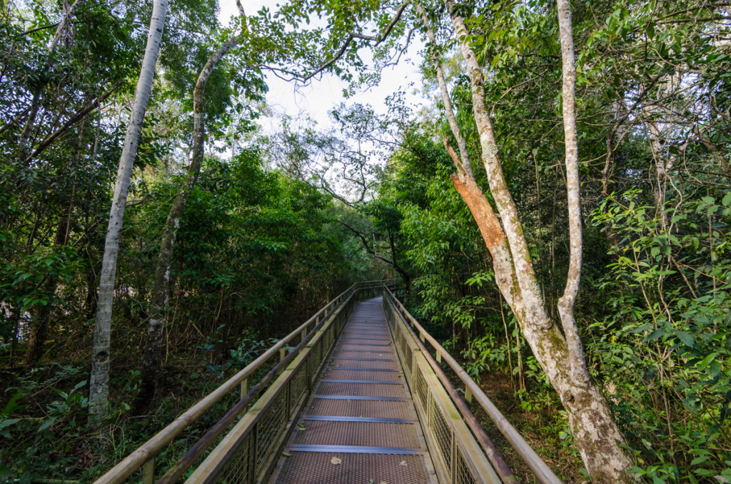 Parque National Iguazu