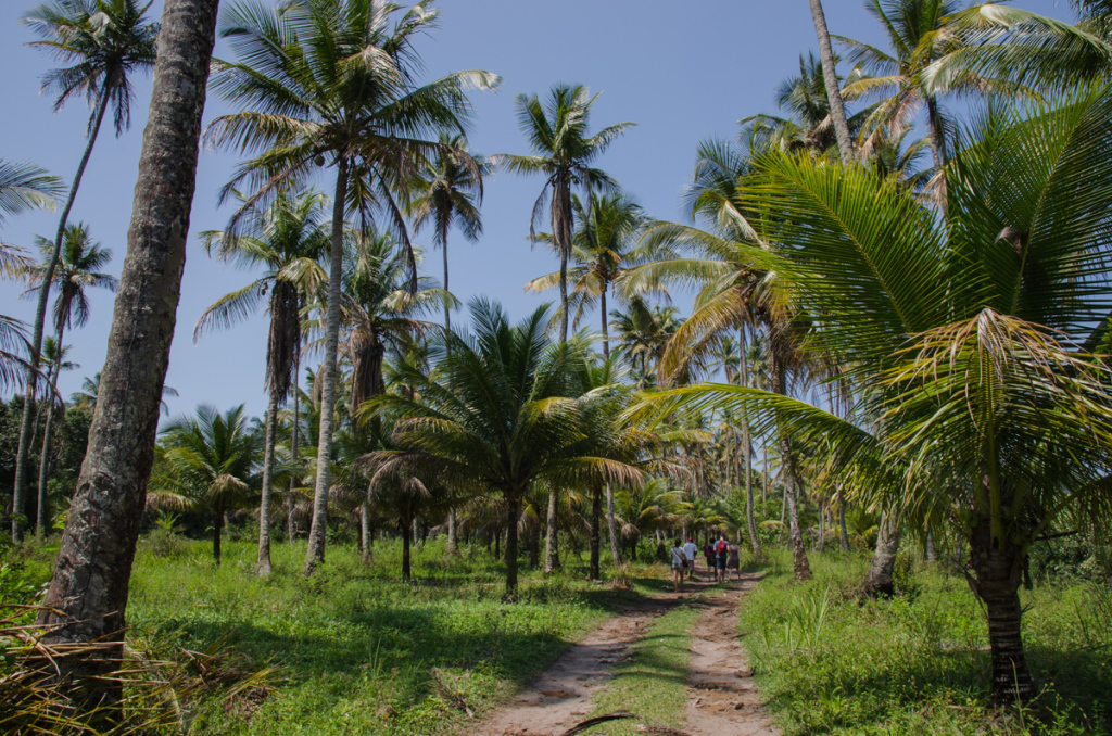 Hiking in Boipeba, Brazil