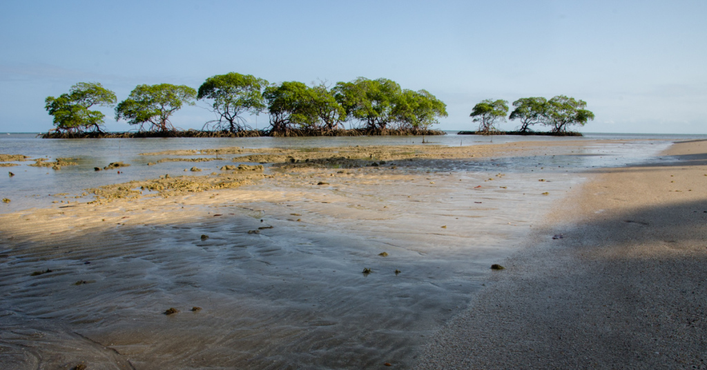 Ponta de Castelhanos, Boipeba, Brazil