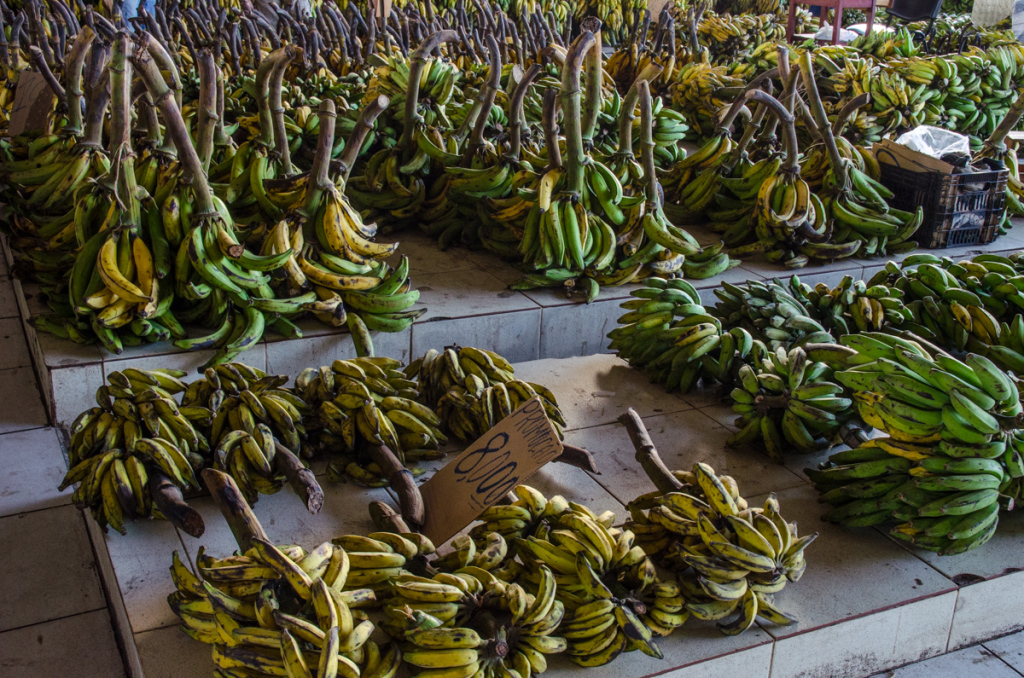 Banana Market, Manaus