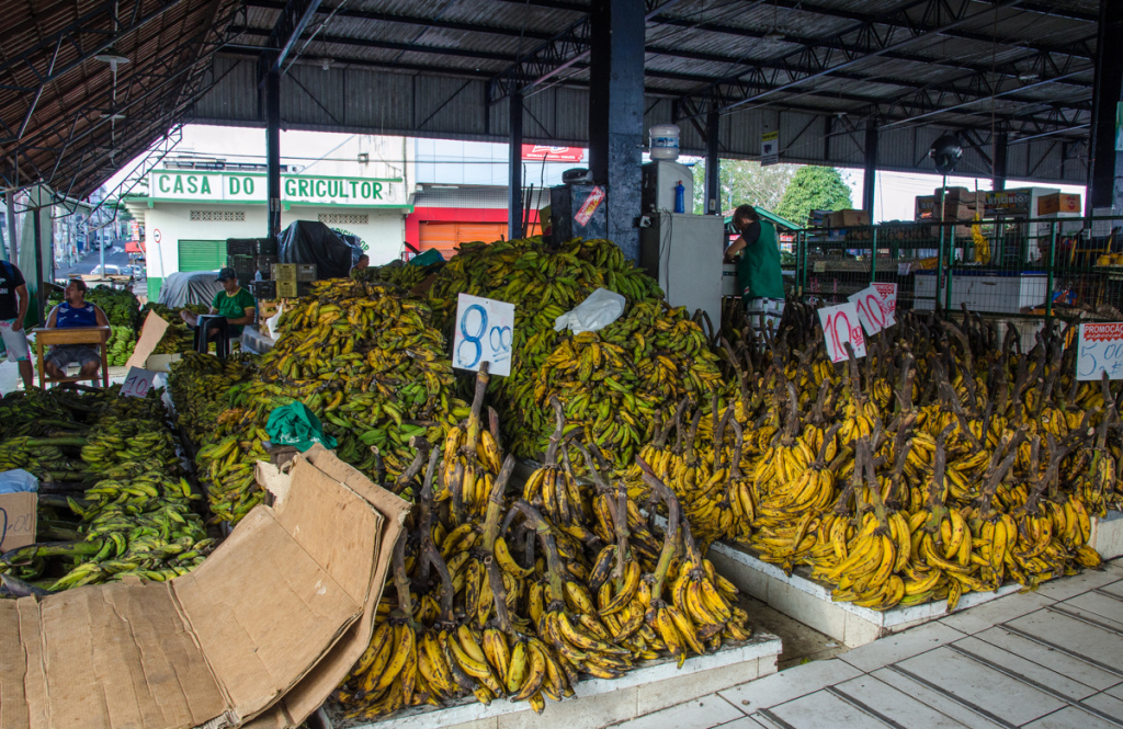 Banana Market, Manaus