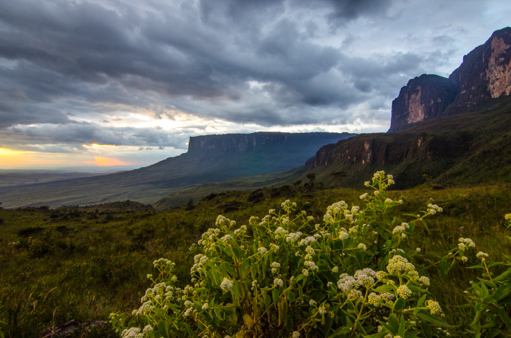 Sunset from Base Camp, Roraima