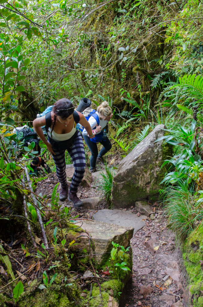 Ascent to Mount Roraima