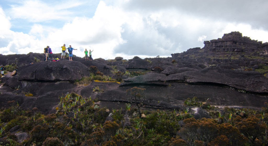 The top of Mount Roraima