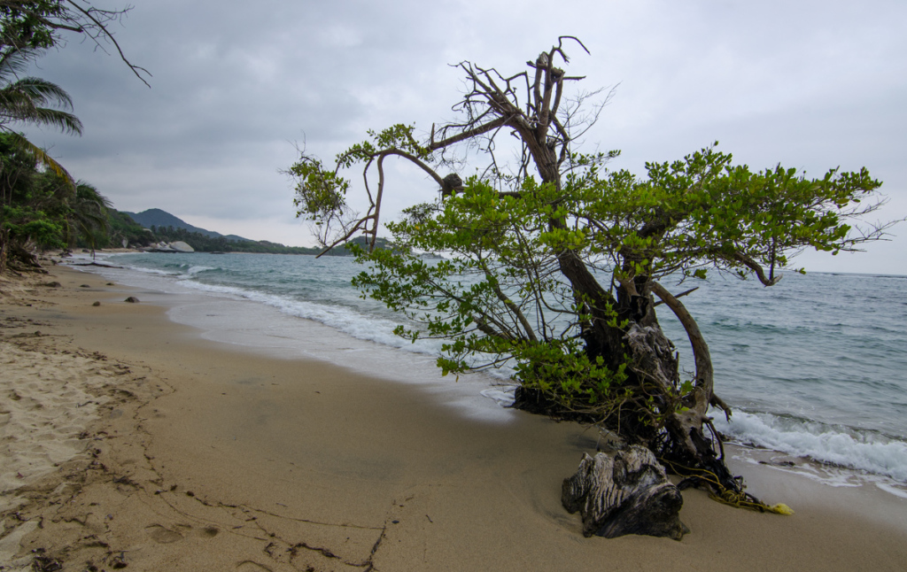 La Piscina, Tayrona National Park