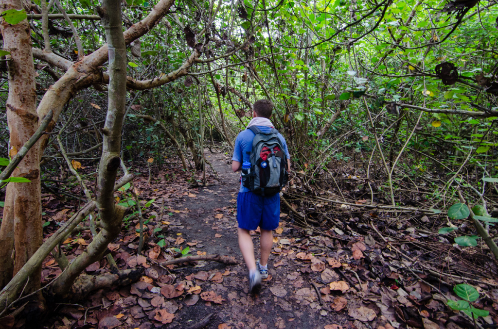 Hiking in Tayrona National Park