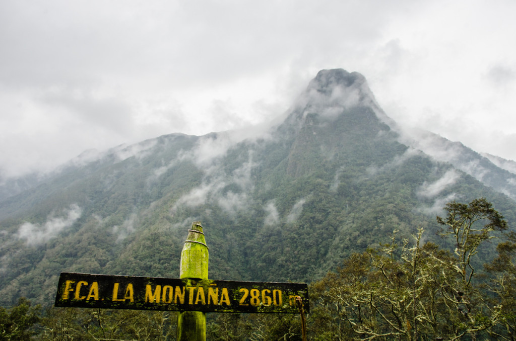 Valle de Cocora, Colombia