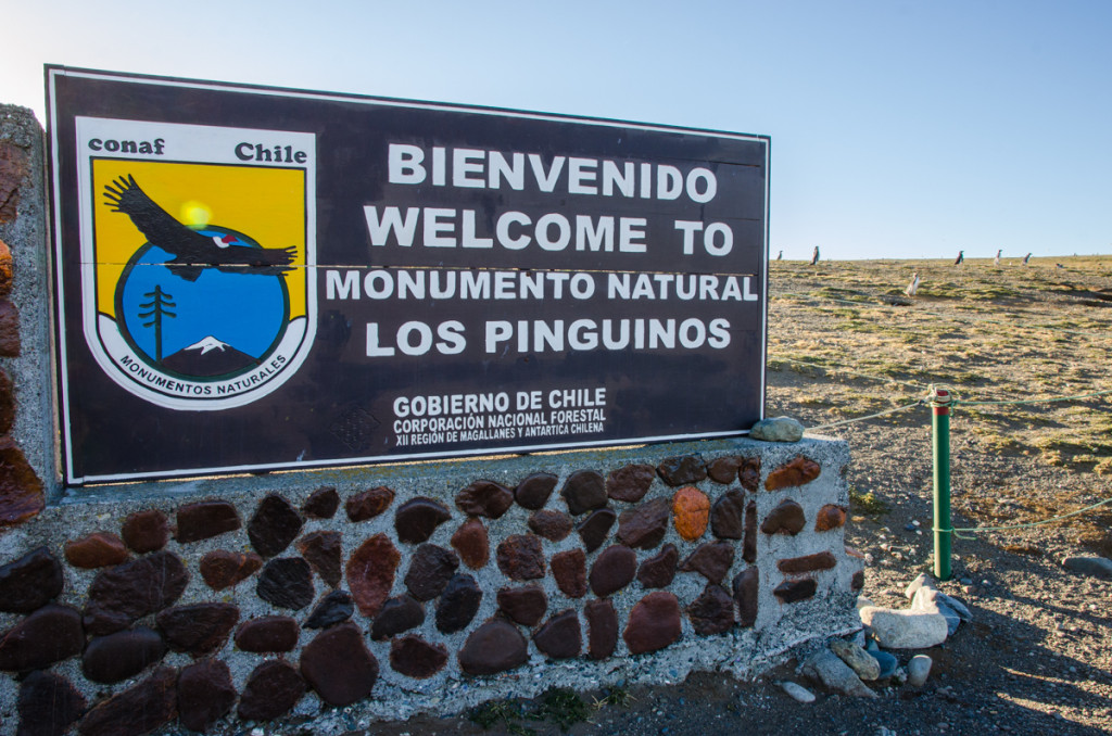 Isla Magdalena, Chile