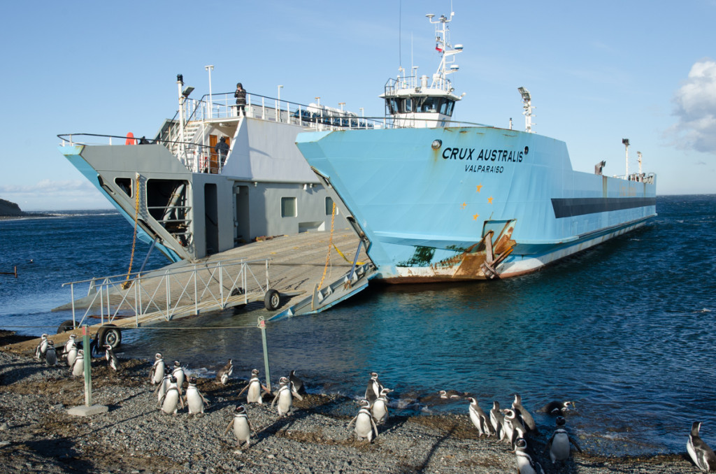 Isla Magdalena, Chile