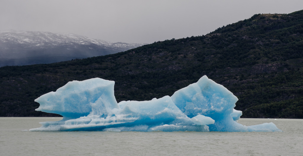 Icebergs from Glaciar Grey, Parque Nacional Torres del Paine