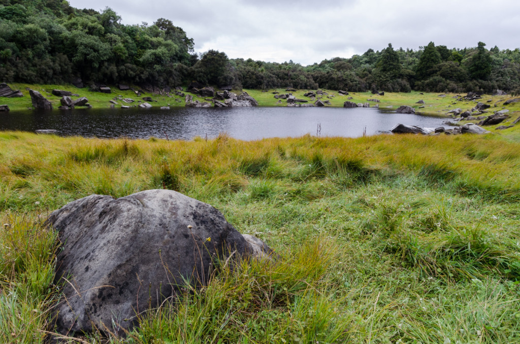 Lake Kiriopukae, Waikaremoana Lake Great Walk