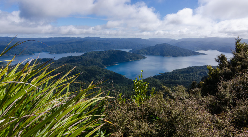 Lake Waikeremoana from Panekire Hut