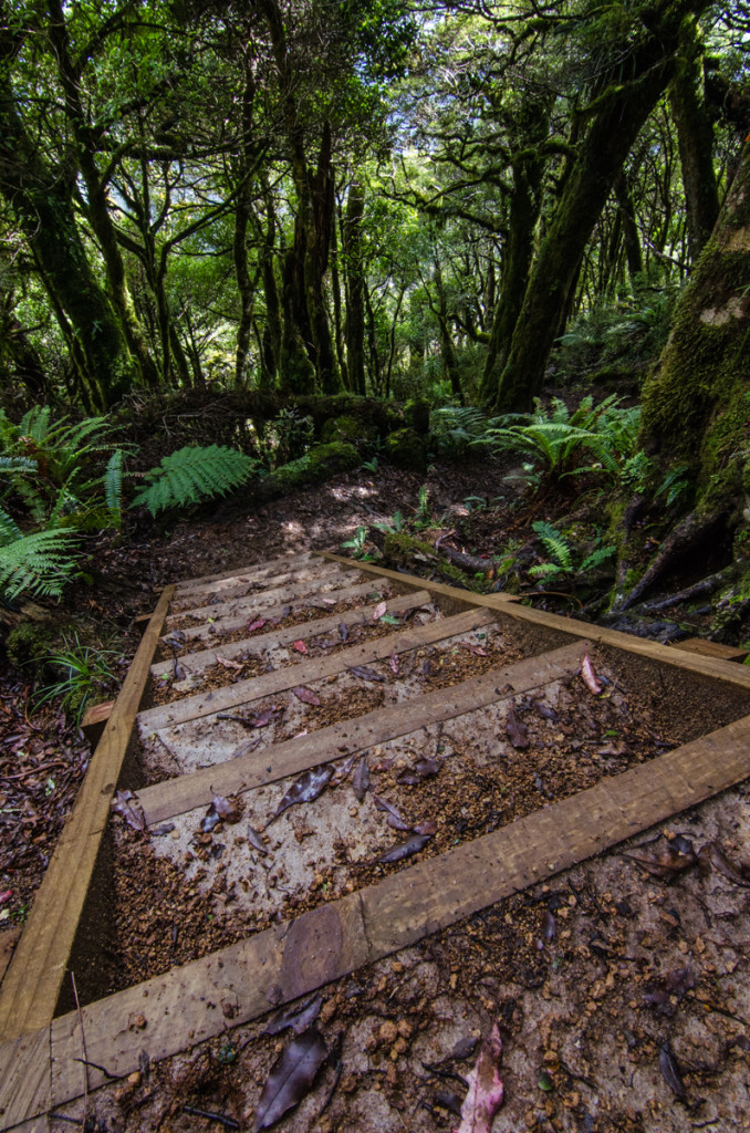 Lake Waikaremoana Great Walk