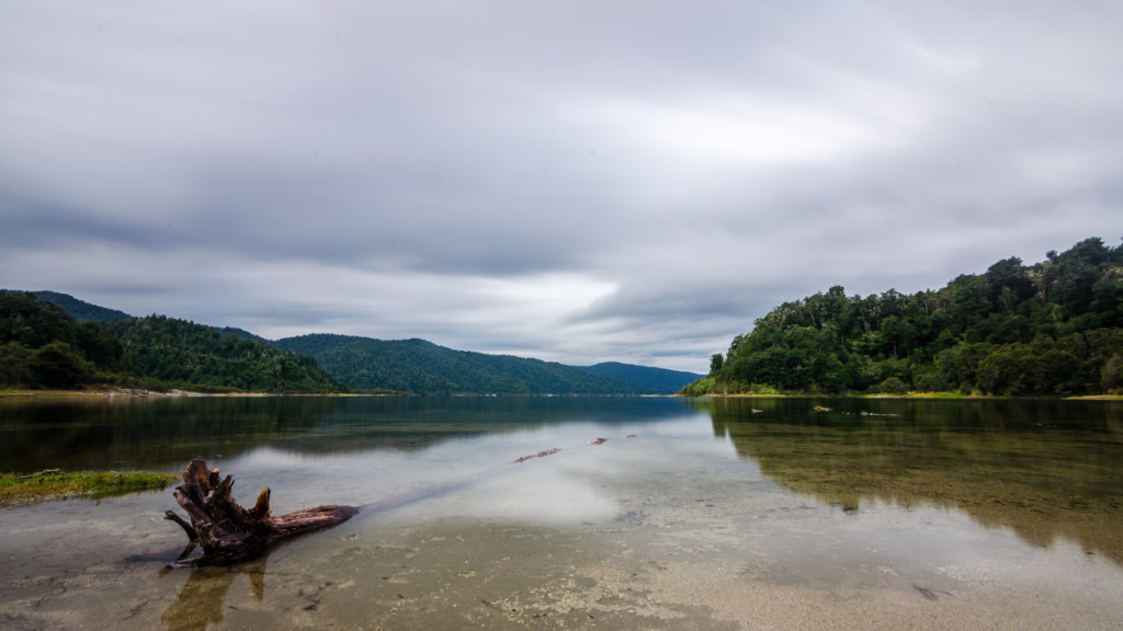 Lake Waikaremoana, near Waiopaoa Hut