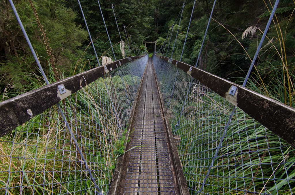 Suspension bridge, Lake Waikaremoana Great Walk