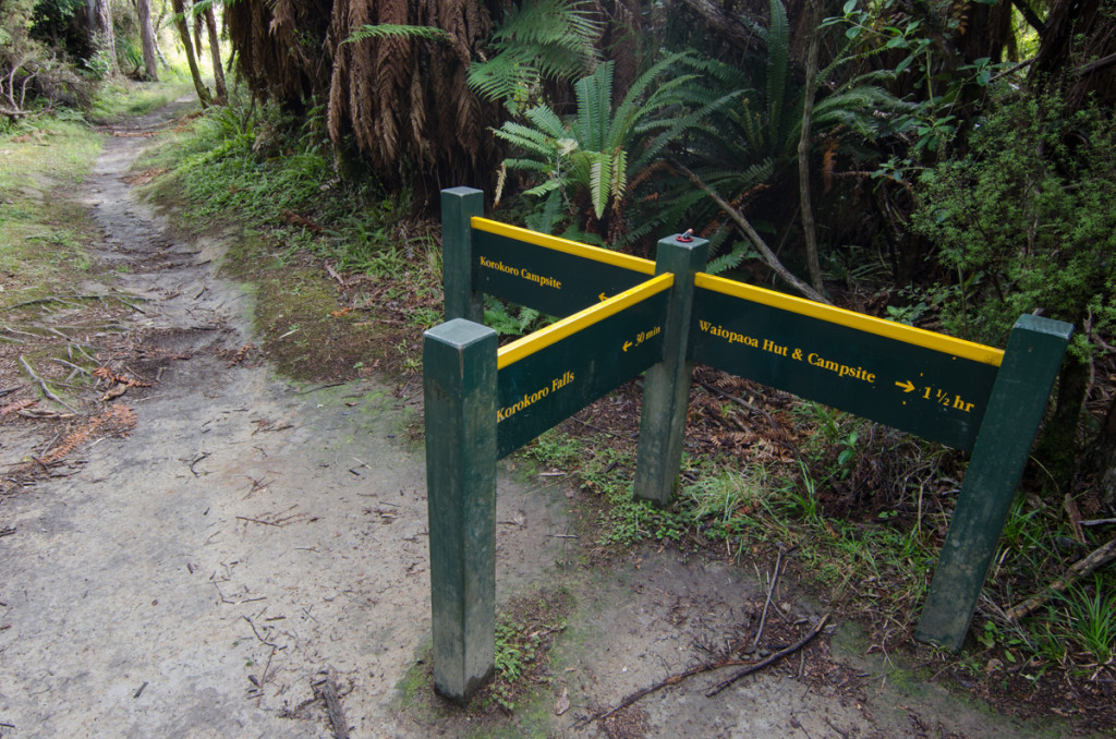 Trail to Korokoro Falls, Lake Waikaremoana Great Walk