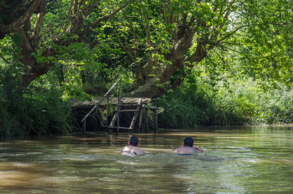 Swimming in the Tigre delta