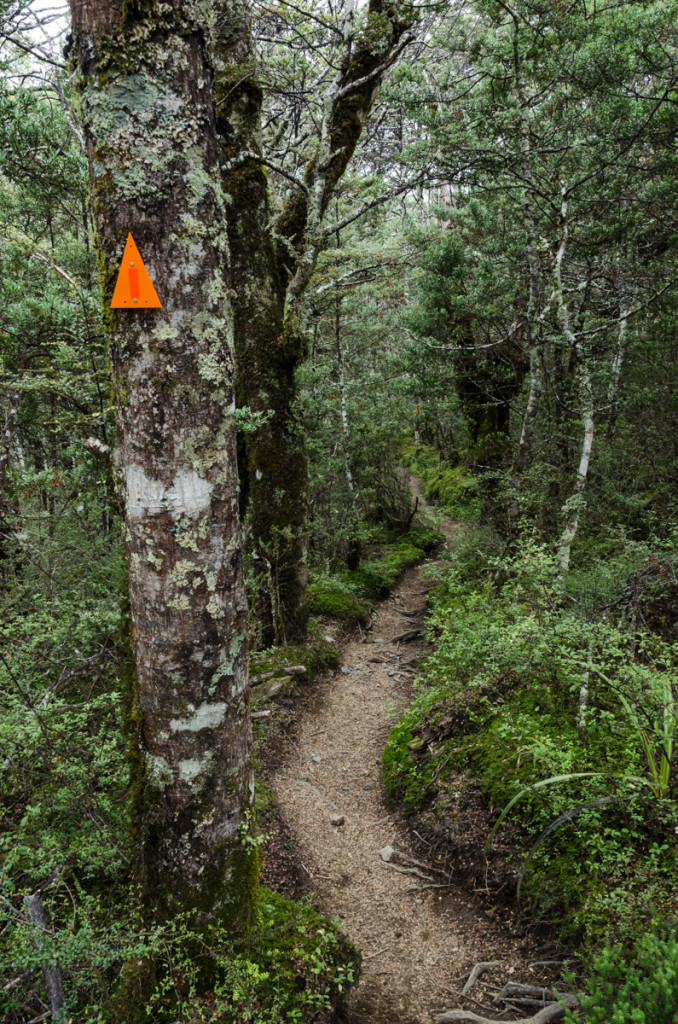 Tongariro Northern Circuit