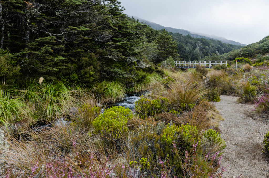 Tongariro Northern Circuit