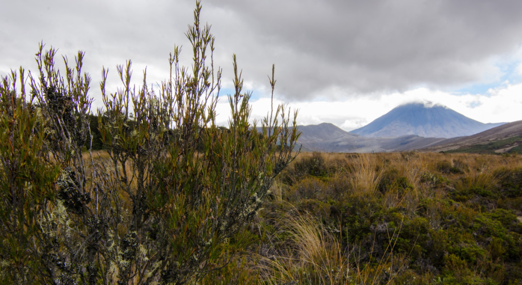 Tongariro Northern Circuit