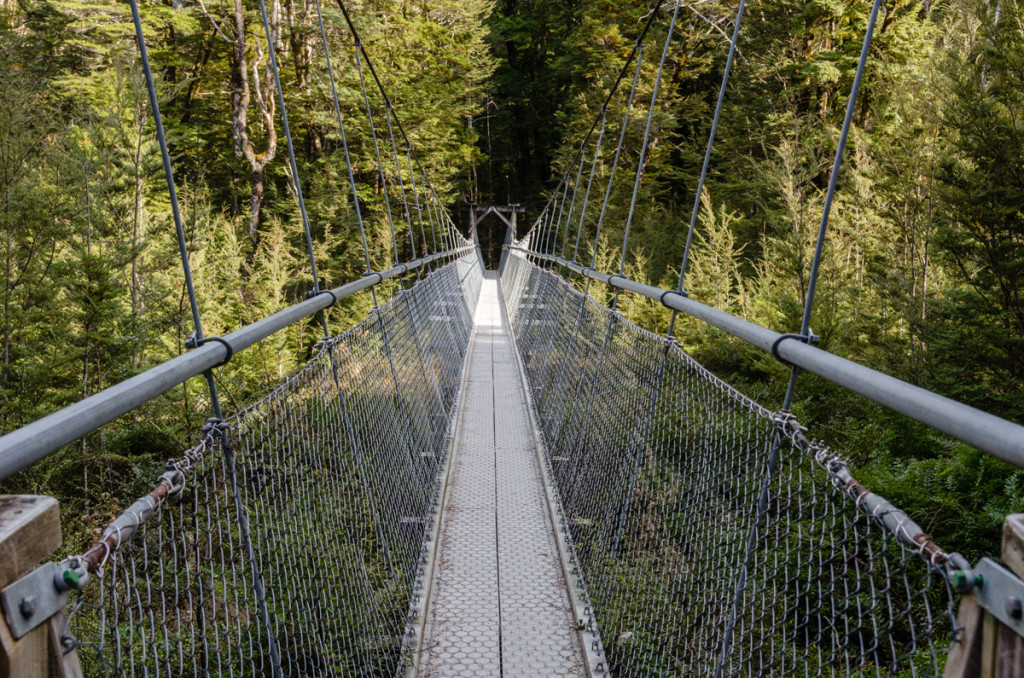 Bridge on Routeburn Track