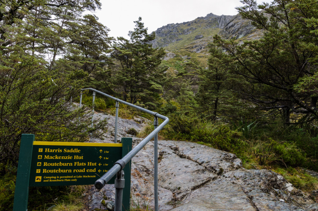 Routeburn Track