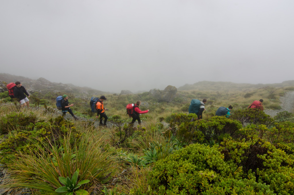 Routeburn Track