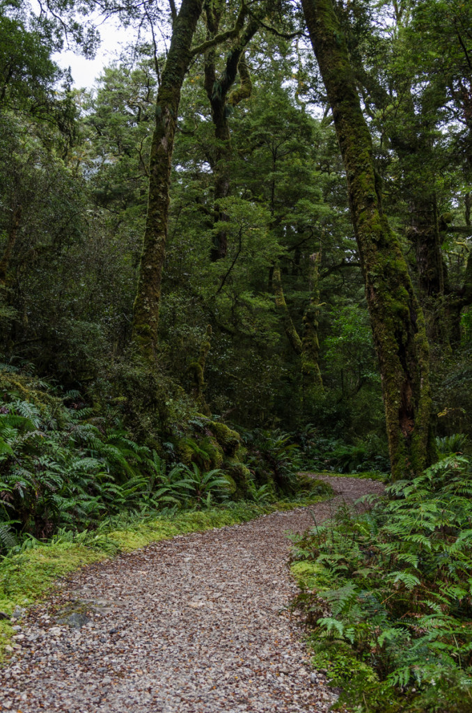 Milford Track