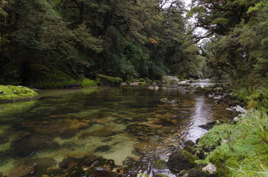 Clinton River, Milford Track