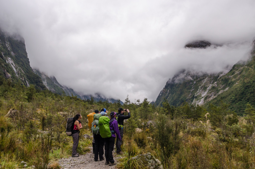 Clinton Canyon, Milford Track