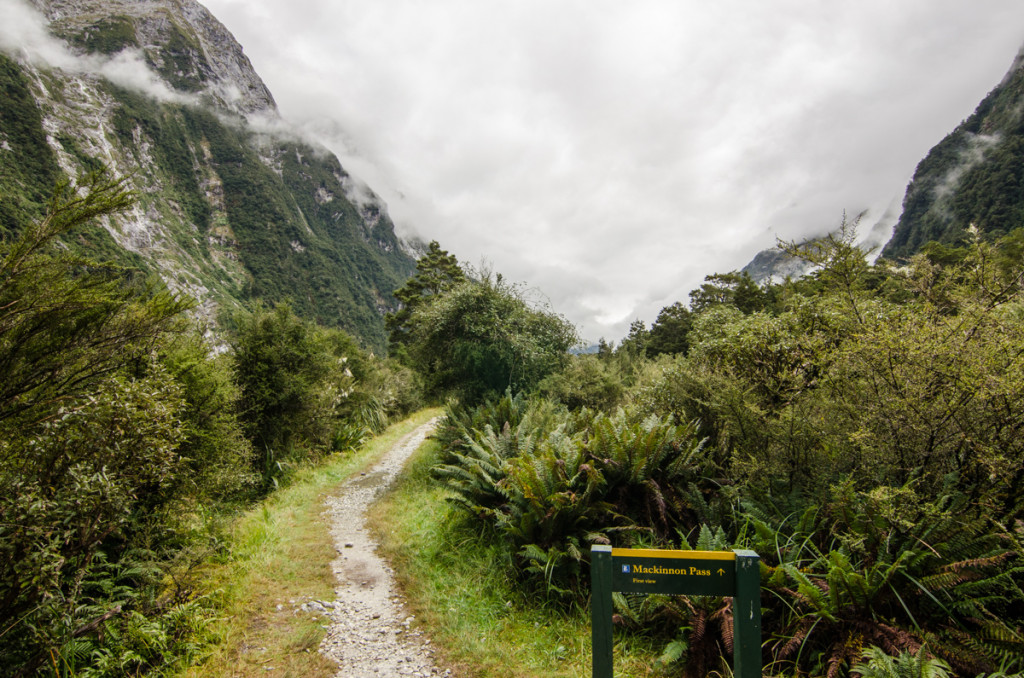 First view of Mackinnon Pass, except you couldn't see it because of clouds