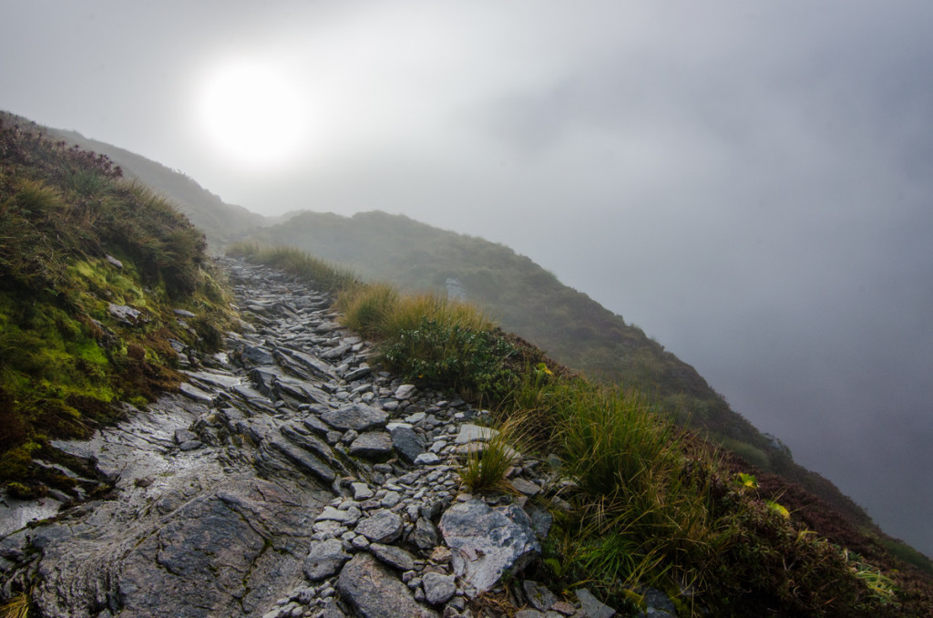 Going up to Mackinnon Pass, Milford Track