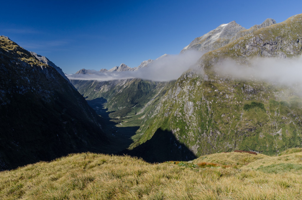 Views from Mackinnon Pass, Milford Track