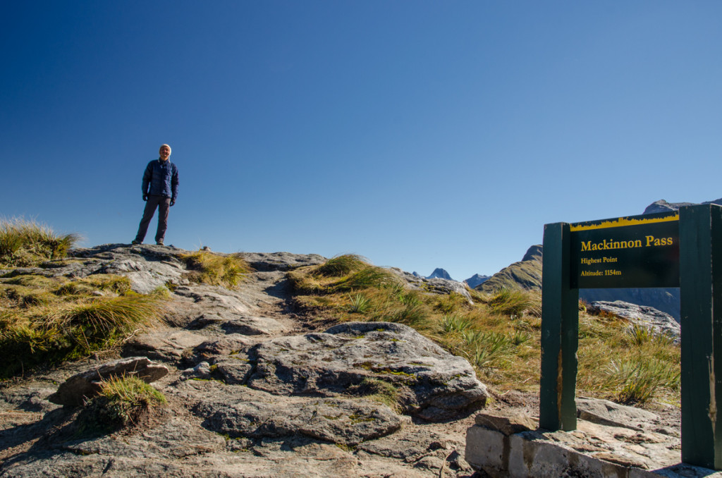 Views from Mackinnon Pass, Milford Track