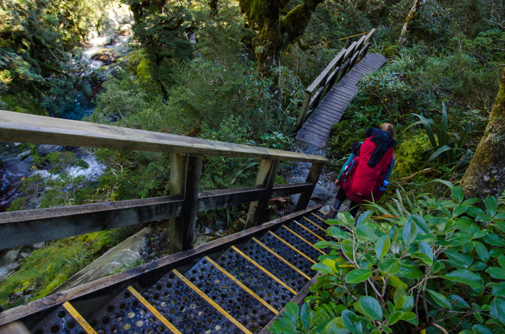 Wooden stairs, Milford Track