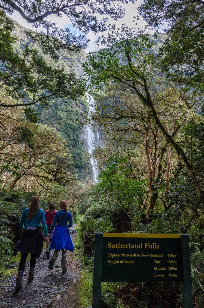 Sutherland Falls, Milford Track