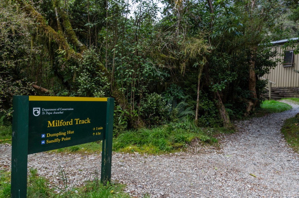 Arriving at Dumpling Hut, Milford Track