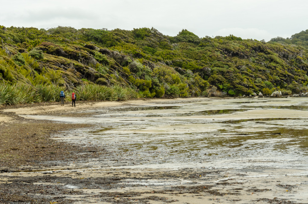 Paterson Inlet, Rakiura Track