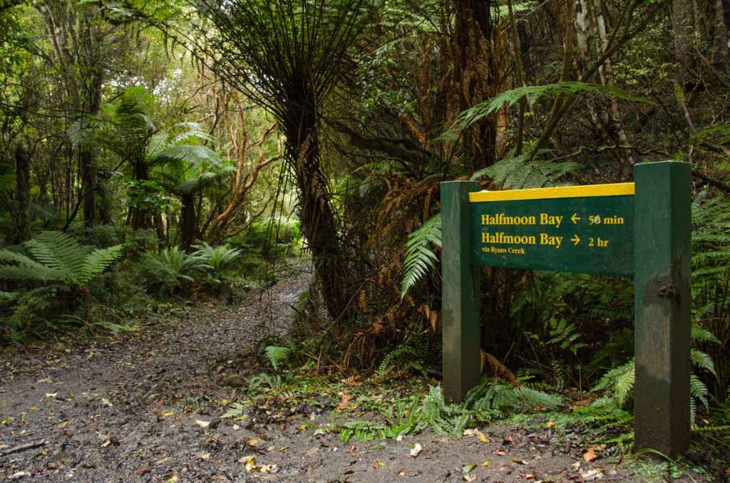 Rakiura Track