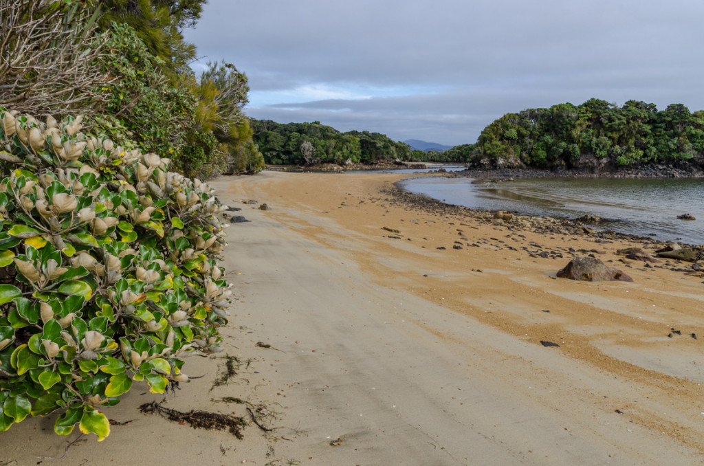 Ulva Island, New Zealand